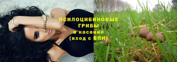 PSILOCYBIN Алексин
