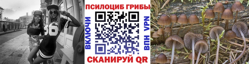 Псилоцибиновые грибы Magic Shrooms  Кызыл 
